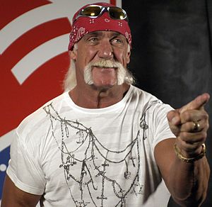 Hulk Hogan has won the dubious award a record ...